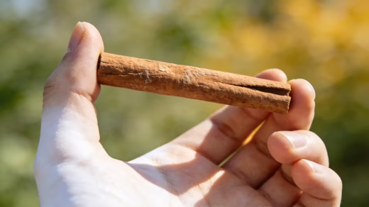 Simpatia da canela para renovar energias — mão segurando um pau de canela ao ar livre